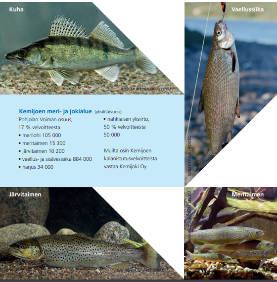 Pohjolan Voiman kalanistutusvelvoitteet Iijoen ja Kemijoen meri- ja jokialueilla