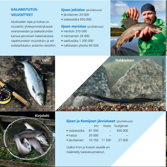 Pohjolan Voiman kalanistutusvelvoitteet Iijoella ja Kemijoen järvialueilla