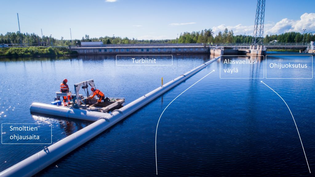 Pohjois-Pohjanmaan liitto. Smolttien alasvaellusväylä rakennetaan turbiinien ja ohijuoksutusluukkujen väliselle alueelle. Nuolet kuvaavat smolttien toivottua kulkureittiä