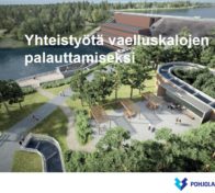 Yhteistyötä vaelluskalojen palauttamiseksi -esite