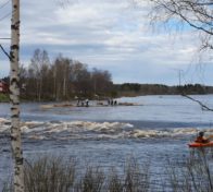 Perinnelautta laski jälleen Iijokea alas