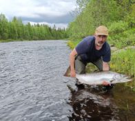 Kuva: Pohjois-Pohjanmaan liitto. Henri Kylli Osuuskunta Team Kalasta vapauttamassa n. 15 kg lohta Livojokeen. Lohi on nostettu kuvausta varten hetkeksi esille. Normaalitilanteessa kalojen kaikkea ylimääräistä käsittelyä vältetään.