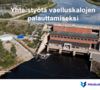 Yhteistyötä vaelluskalojen palauttamiseksi -esite