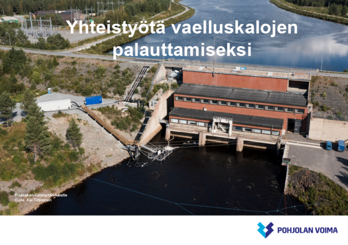Yhteistyötä vaelluskalojen palauttamiseksi -esite