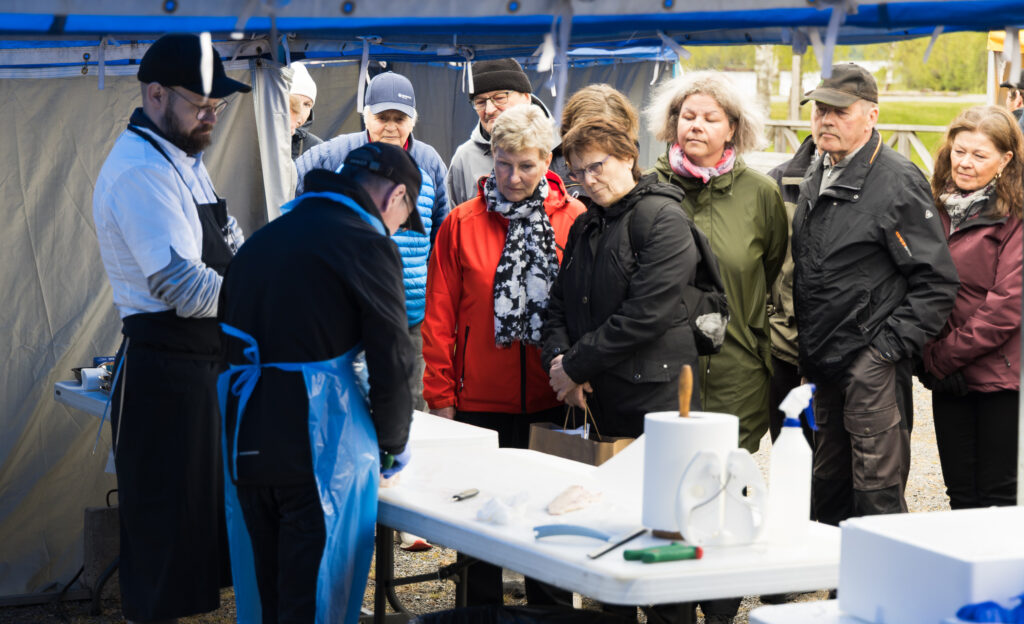 Yleisö seurasi tarkkaan, kun kalastaja Antti Pääskynen fileoi haukea. Joonas Hämäläinen (oik.) odottaa filettä käsiteltäväksi Iin Rantakestilässä 1.6.2025 järjestetyillä Haukifestareilla. Kuva: Kai Tirkkonen