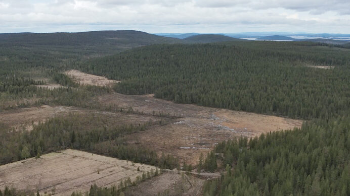 Askanaavalta kemijärvelle