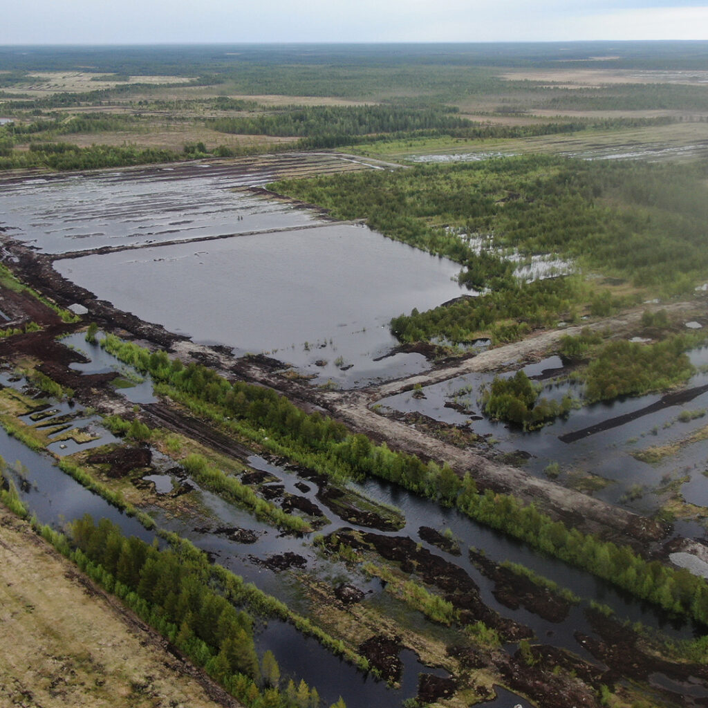Kuva: Veli-Matti Hämäläinen