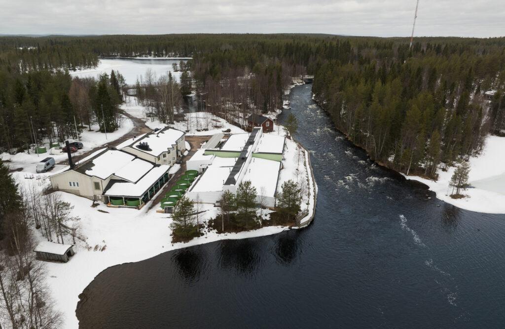 Voimalohi Oy:n omistama Kuusamon Käylän kalanviljelylaitos. Kuva: Kai Tirkkonen